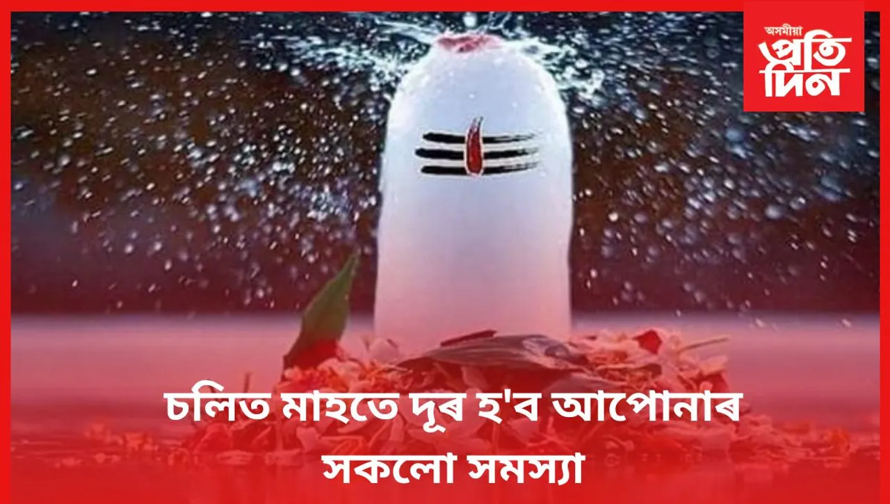 শাওন মাহত সদায় কৰিব এই কাম 